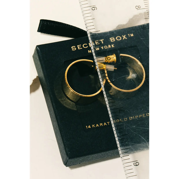 Flat Hoop Earrings Gold Dipped